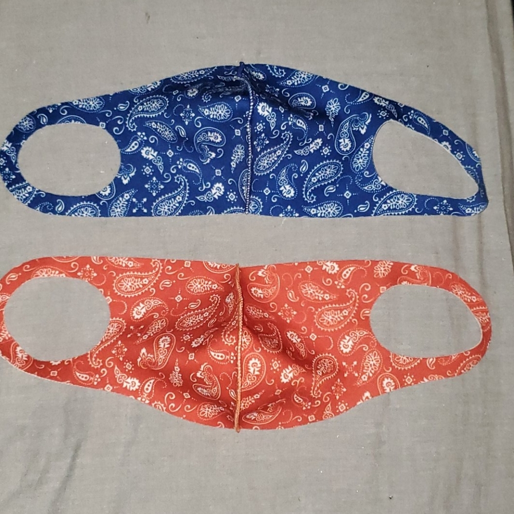 Red and Blue Paisley Design Face Mask